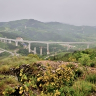 zricenina-crni-kal_04