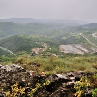 zricenina-crni-kal_05