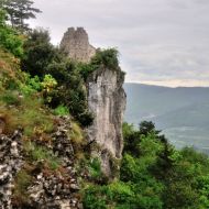 zricenina-crni-kal_06