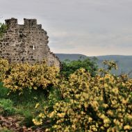 zricenina-crni-kal_08