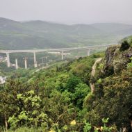 zricenina-crni-kal_09