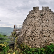 zricenina-crni-kal_10