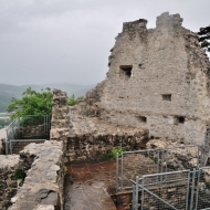zricenina-crni-kal_11