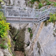 zricenina-crni-kal_12
