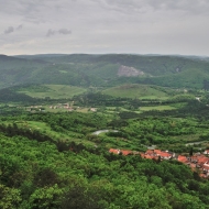 zricenina-crni-kal_14