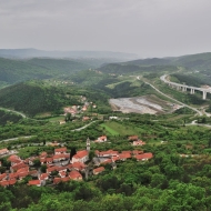 zricenina-crni-kal_15