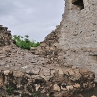 zricenina-crni-kal_20