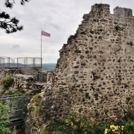 zricenina-crni-kal_25