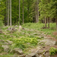 krizanky-ctyri-palice_02