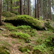 zkamenely-zamek_rybenske-pernicky_01