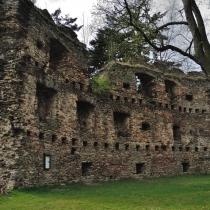 Zřícenna hradu Dalečín (Tolenstein)