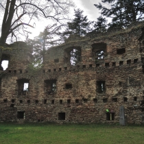 Zřícenna hradu Dalečín (Tolenstein)