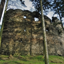 Zřícenna hradu Dalečín (Tolenstein)