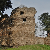 Zřícenna hradu Dalečín (Tolenstein)