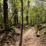 Děvín (Pálava) -  úvoz