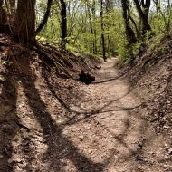 Děvín (Pálava) - úvoz