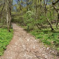 Děvín (Pálava) - začátek stoupání ke Strážci