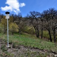 Děvín (Pálava) - Stoupání ke Strážci