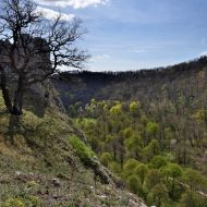 Děvín (Pálava) - Strážce