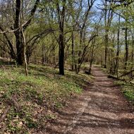 Děvín (Pálava) - po zelené na samotný vrchol Děvína