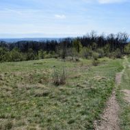 Děvín (Pálava) - po zelené na samotný vrchol Děvína