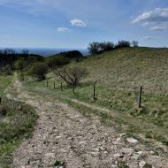 Děvín (Pálava) - po zelené na samotný vrchol Děvína