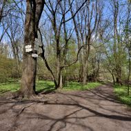 Děvín (Pálava) - rozcestí s červenou