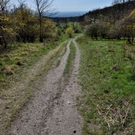 Děvín (Pálava) - cesta po červené mezi vyhlídkami
