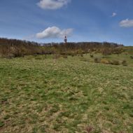 Děvín (Pálava) - pohled na vrchol