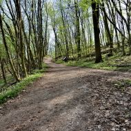 Děvín (Pálava) - cesta po červené