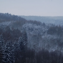 Divoká Šárka