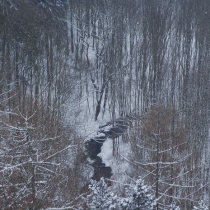 Divoká Šárka