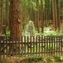 Dráteničky