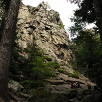 Dráteničky
