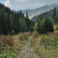 Nízké Tatry - cesta po zelené z Trangošky na Štefáničku