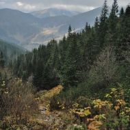 Nízké Tatry - cesta po zelené z Trangošky na Štefáničku