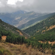 Nízké Tatry - cesta po zelené z Trangošky na Štefáničku