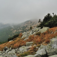 Nízké Tatry - cesta ze Štefáničky na Ďumbier