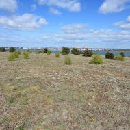 kurska-kosa_meskos-galvos-kopa_02