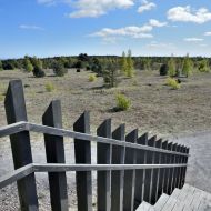 kurska-kosa_meskos-galvos-kopa_05