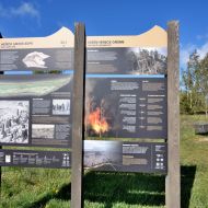 kurska-kosa_meskos-galvos-kopa_08