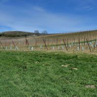 NPP Dunajovické kopce - pohled na Zimní vrch a svah nedaleko parkoviště