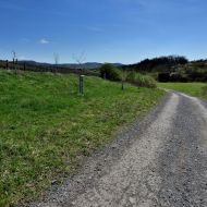 NPP Dunajovické kopce - Pohled zpět směrem na Pálavu (v pozadí)