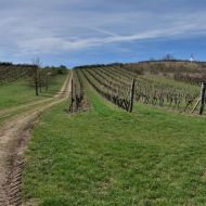 Cesta vede mezi Malou Slunečnou a Jánskou horu