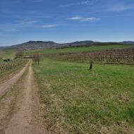 Pohled ze stoupání na Dunajovické kopce směrem na Pálavu