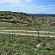 NPP Dunajovické kopce - pohled z hřebene na západ