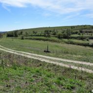 NPP Dunajovické kopce - pohled z hřebene na jihozápad