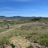 NPP Dunajovické kopce - výhled z Růžové hory na Velkou Slunečnou a Pálavu