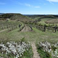 NPP Dunajovické kopce - výhled z Růžové hory na Velkou Slunečnou 