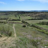 NPP Dunajovické kopce - výhled z Velké Slunečné na jih